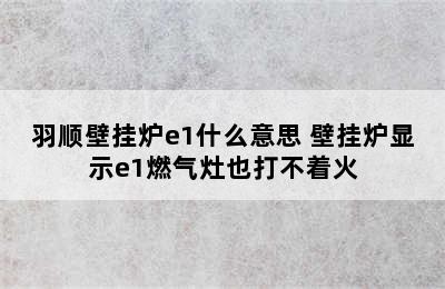 羽顺壁挂炉e1什么意思 壁挂炉显示e1燃气灶也打不着火